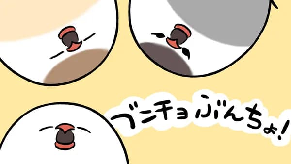 ブンチョぶんちょ！