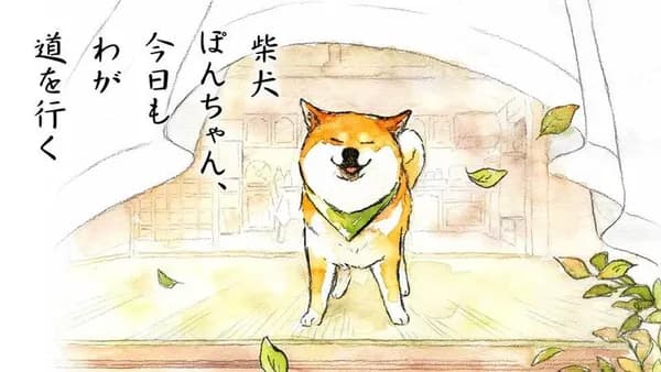 柴犬ぽんちゃん、今日もわが道を行く