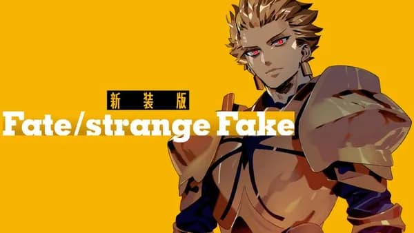 新装版 Fate/strange Fake