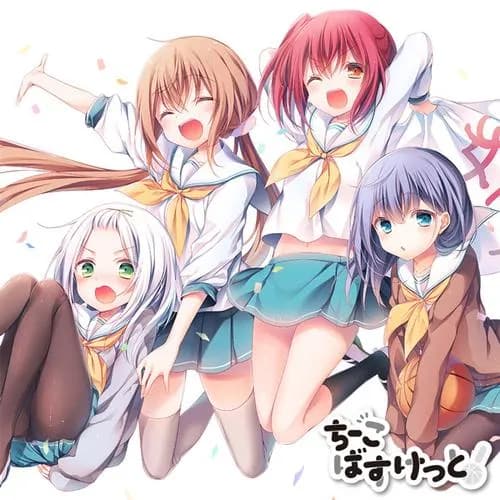 ちーこばすけっと！