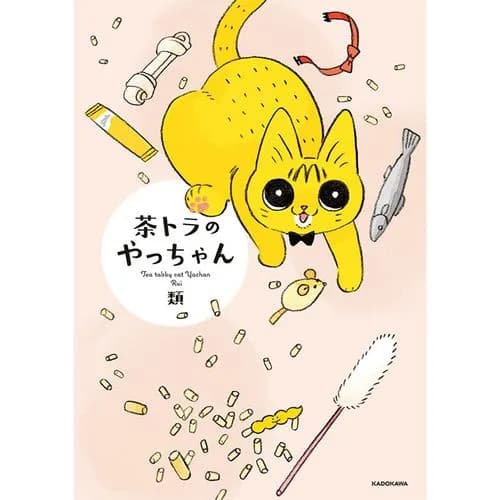茶トラのやっちゃん