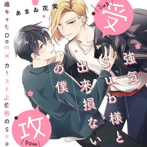 強気Sub様と出来損ないの僕