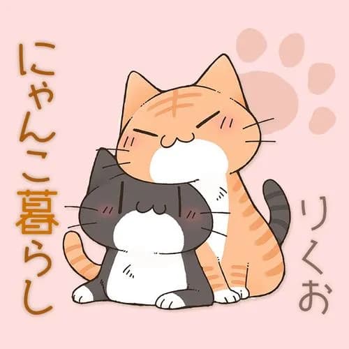 にゃんこ暮らし