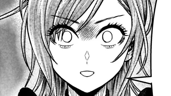 忍者の騎士