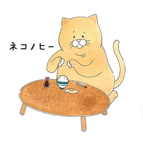 ネコノヒー