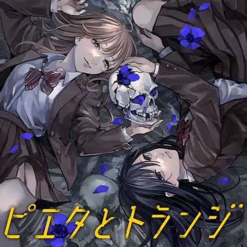 ピエタとトランジ