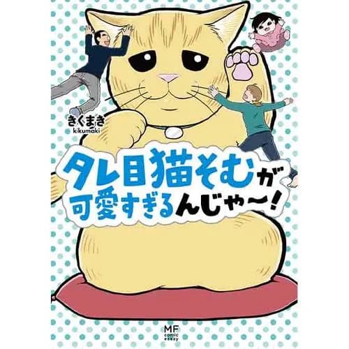 タレ目猫そむが可愛すぎるんじゃ～！
