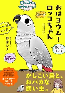 おはヨウム！
ロッコちゃん