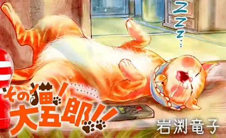 その猫！大五郎！！
