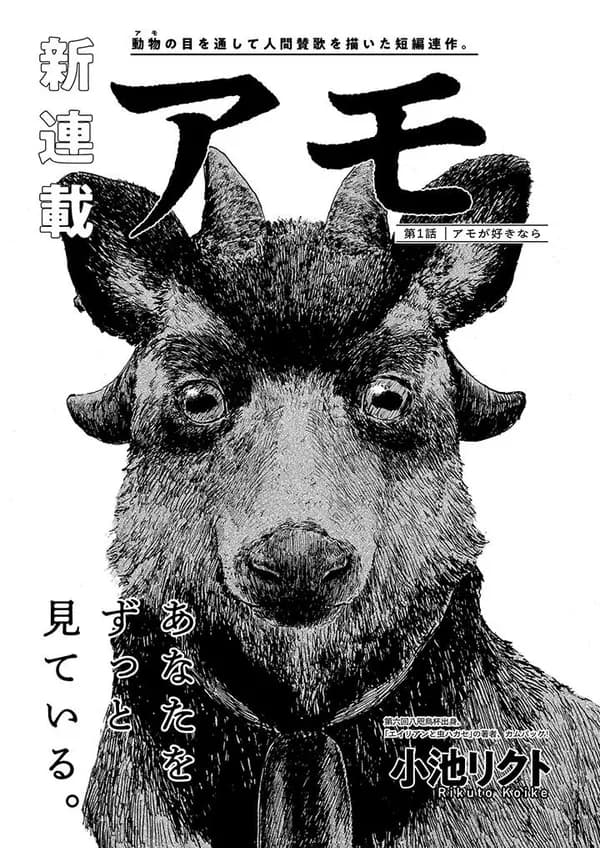 アモ