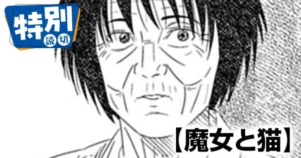 魔女と猫