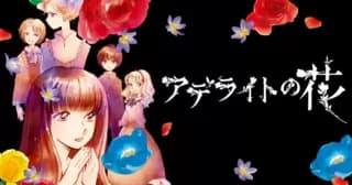 完結アデライトの花