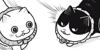ツレ猫 マルルとハチ