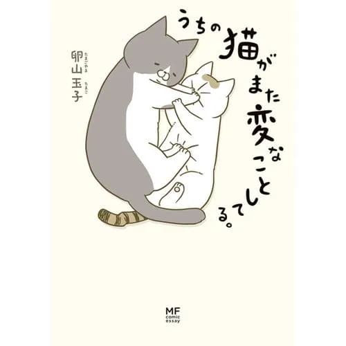 うちの猫がまた変なことしてる。