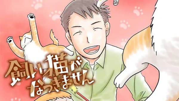 飼い猫がなつきません