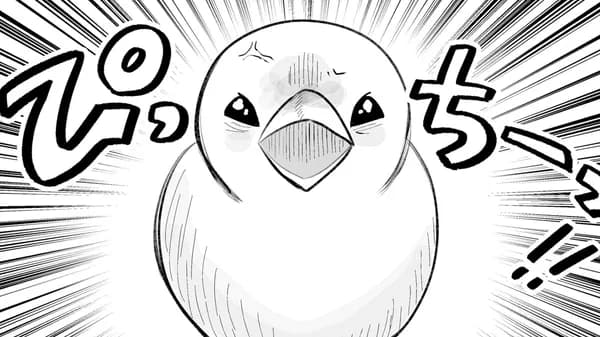 めじとやも