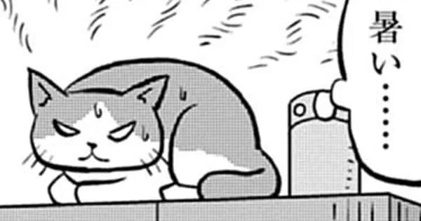 猫と文豪