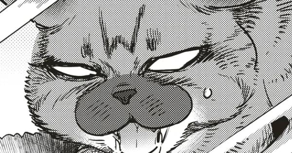 ブリちゃん日記~猫なら産みたい~