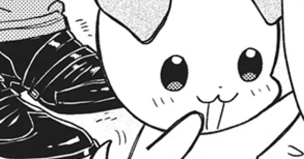 いぬめし
