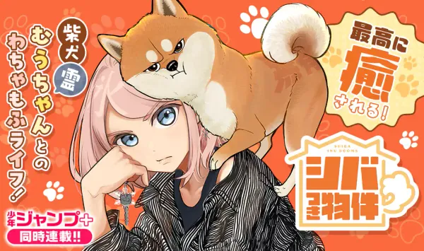 シバつき物件