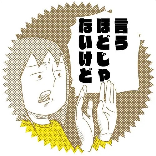 言うほどじゃないけど