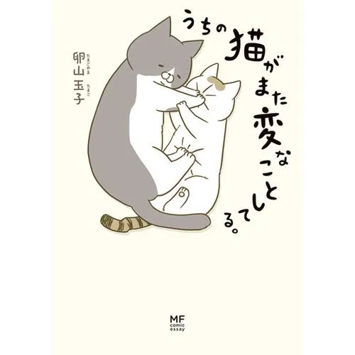 うちの猫がまた変なことしてる。