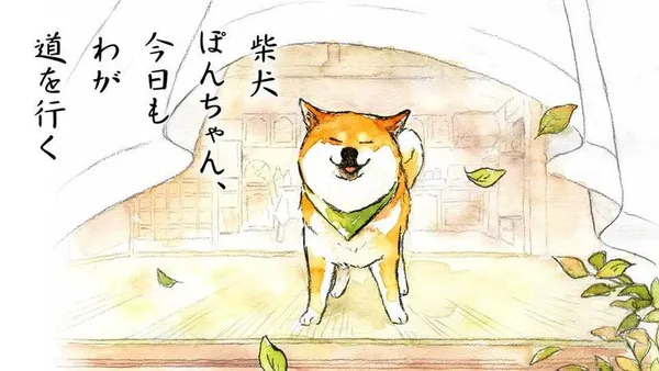 柴犬ぽんちゃん、今日もわが道を行く