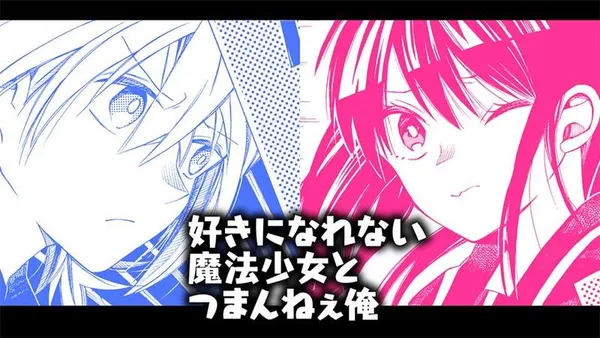 好きになれない魔法少女とつまんねぇ俺