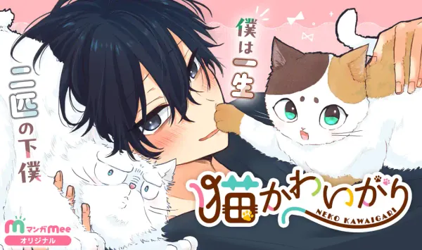 猫かわいがり