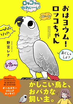 おはヨウム!
ロッコちゃん