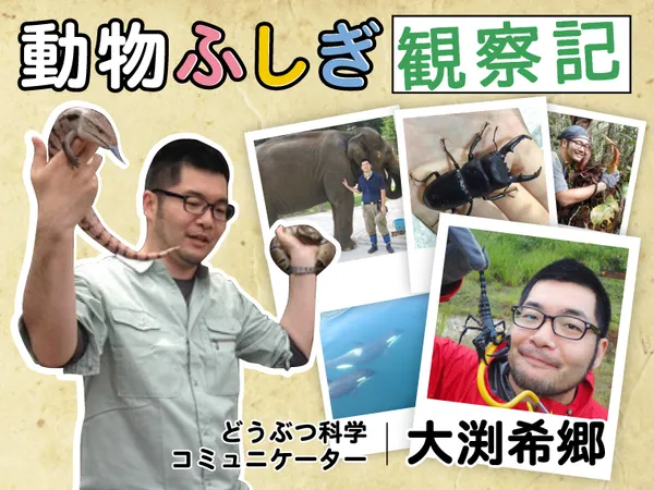 動物ふしぎ観察記