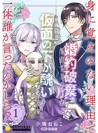 身に覚えのない理由で婚約破棄されましたけれど、仮面の下が醜いだなんて、一体誰が言ったのかしら？