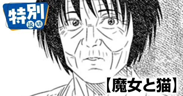 魔女と猫