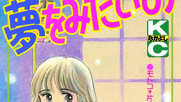 夢をみたいの