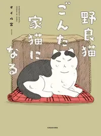 野良猫ごんた、家猫になる